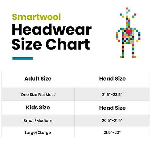 Smartwool Intraknit Thermal Merino Balaclava
