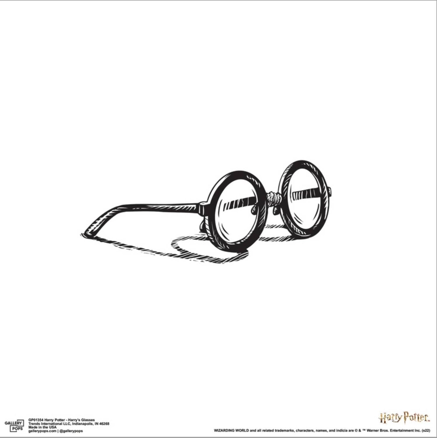 Gallery Pops Harry Potter - Harry's Glasses Canvas Wall Art, Unframed Version, 12" x 12" Gallery Pops Canvas Wall Art