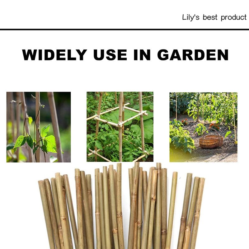 50 Pack 5ft Bamboo Plant Stakes for Wood Garden Sticks，Wooden Plant Supports，Bamboos，Bamboo Trellis，Crafts, More Size Choices 8"/12"/16"//2'/3'/4'/5'/6'