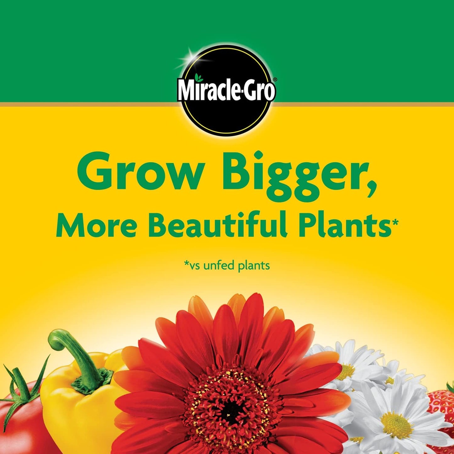 Miracle-Gro All-Purpose Plant Food - Water Soluble Fertilizer for Indoor & Outdoor Plants | 5.5 lbs