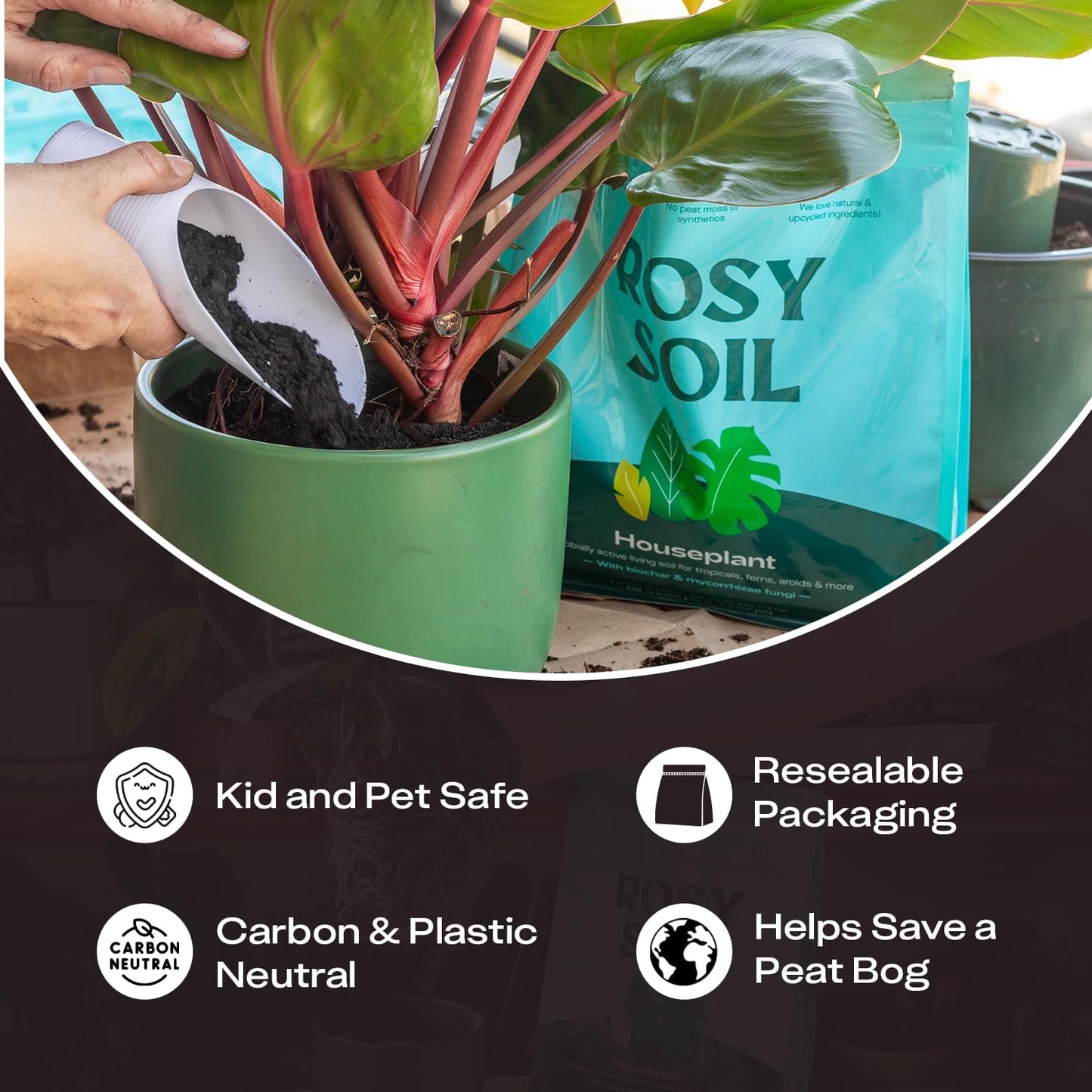 Rosy Soil Indoor Potting Soil - Organic Mix Enriched with Biochar for Healthy House Plants | 8qt