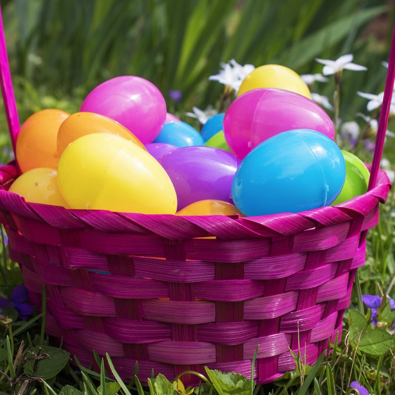 YZNlife 600Pcs Plastic Easter Eggs Bulk – 2.3" Fillable Empty Eggs for Easter Egg Hunt, Party Favors, Basket Stuffers, Classroom Prizes, & Treat Filling – Bright Multicolor ﻿ ﻿
