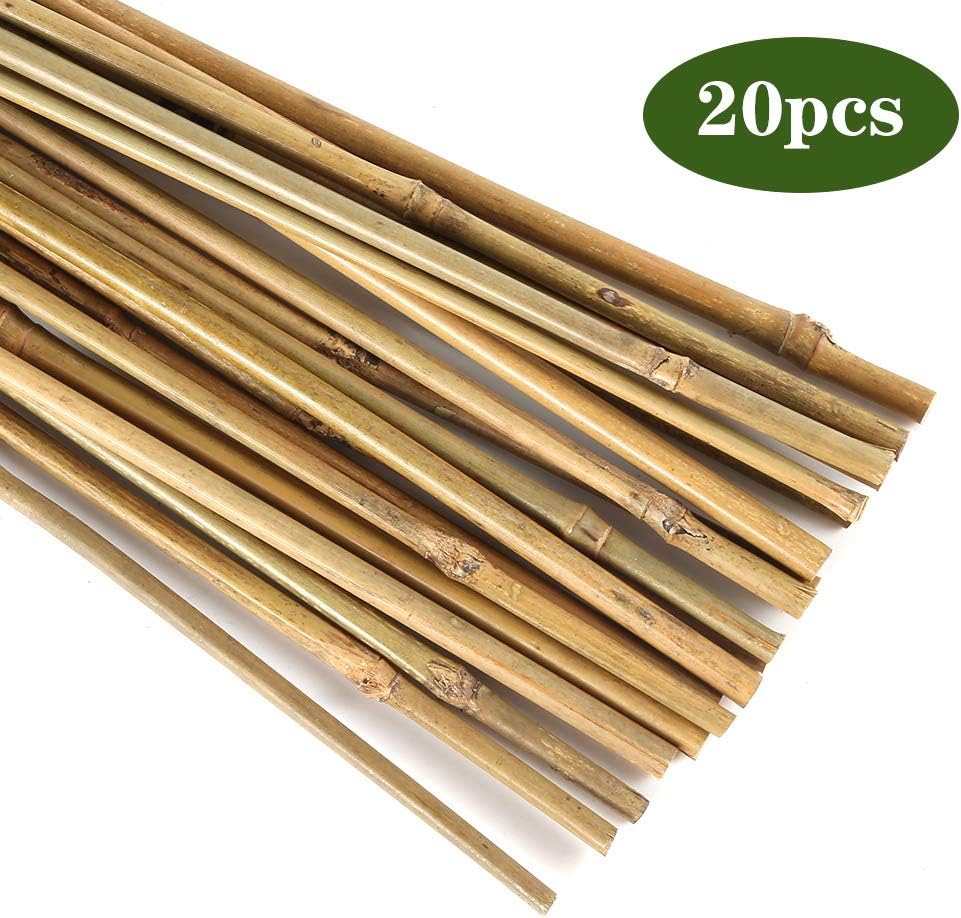 Pllieay Natural Bamboo Garden Stakes - 20PC 16-Inch Plant Support for Indoor/Outdoor Use