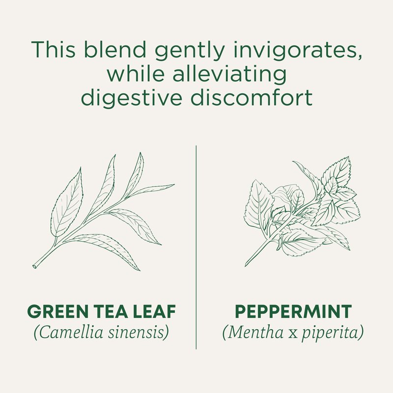 Traditional Medicinals Organic Green Tea, Peppermint - Promotes Healthy Digestion, Occasional Nausea & Indigestion Relief - Kosher, Non-GMO - 96 Teabags (Pack of 6)