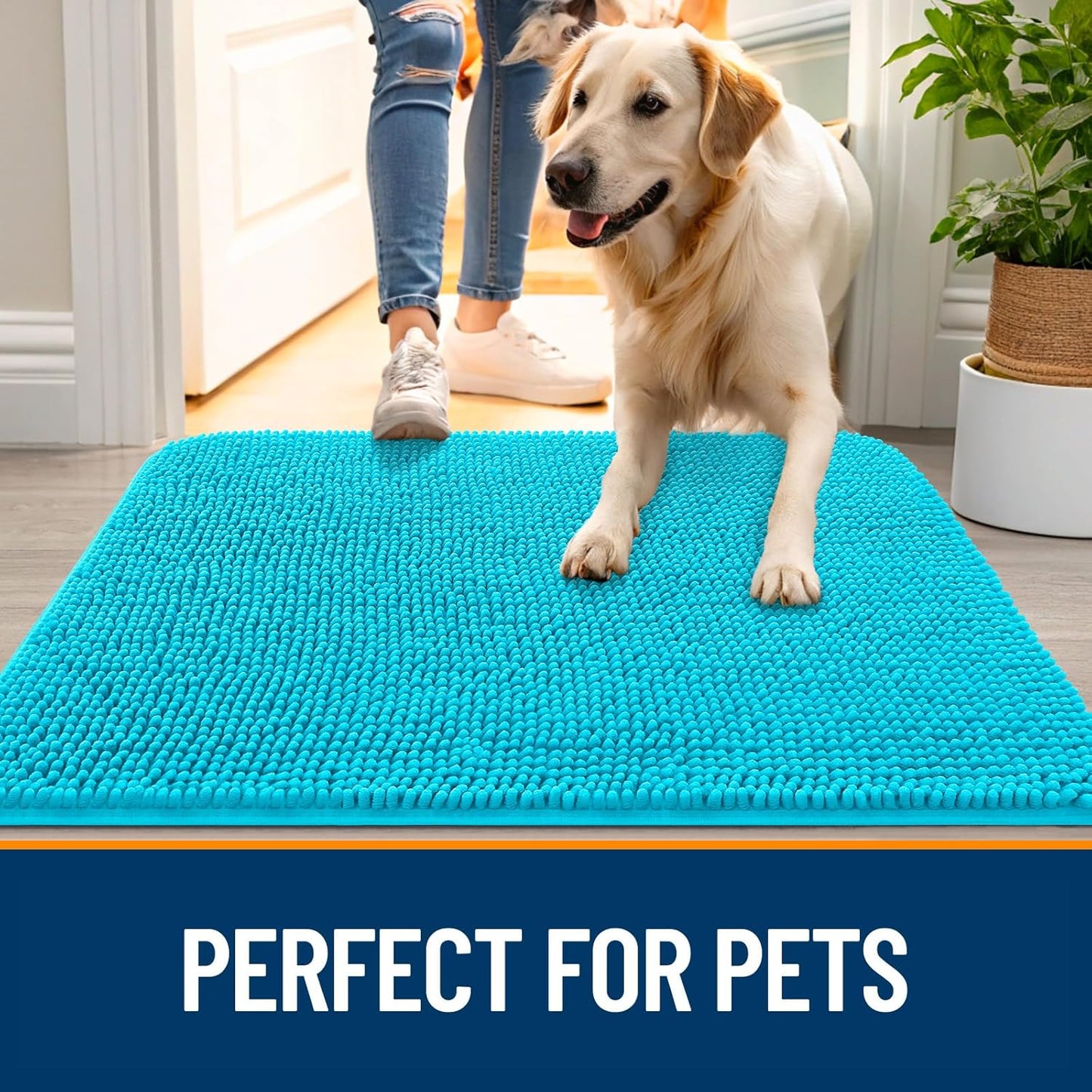 OLANLY Dog Door Mat - Absorbent Non-Slip Washable Doormat for Muddy Paws | Quick Dry Chenille, Aqua Blue 48x30