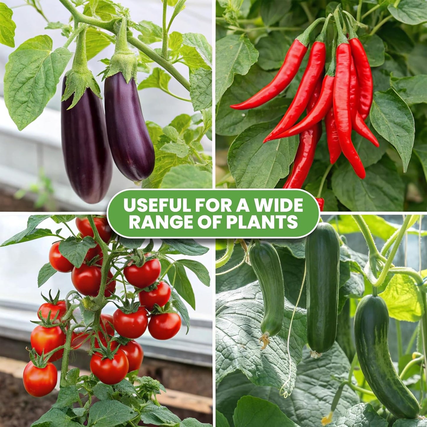 K-Brands Tomato Cage - Extra Tall Plant Support Trellis for Garden & Pots | 3 Pack (Up to 68 Inches)