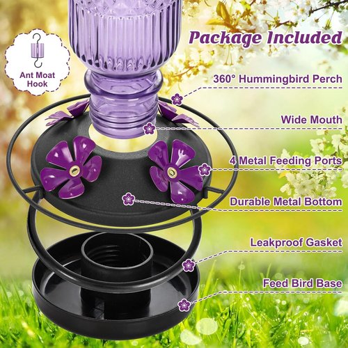 FEED GARDEN Glass Hummingbird Feeder - 16 Oz Outdoor Feeder with 4 Bee Guard Ports & Ant Moat | Purple, 2 Pack