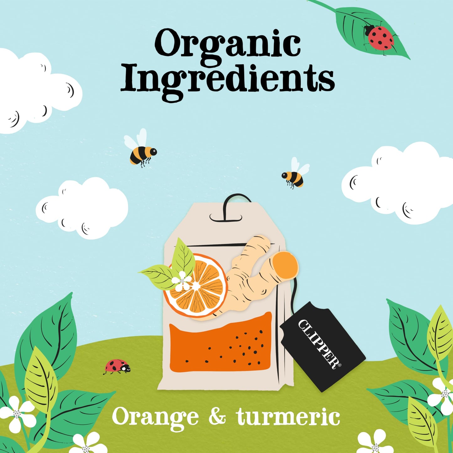 Clipper Tea, Orange & Turmeric, Organic with Licorice Root, Orange Peel and Hibiscus, Plant Based Herbal, Caffeine Free British, 6 Pack, 120 Unbleached Bags