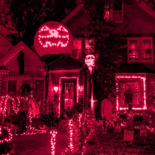 HISHINY LED Red Christmas Net Lights Outdoor,5ftx5ft 100LED Green Wire, Connectable Indoor Outdoor Bush Mesh Net Lights String for Valentines Day Decor,Shrub,Yard,Tree（Red）